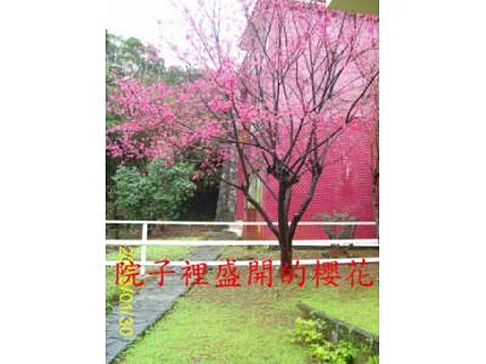 房屋圖片