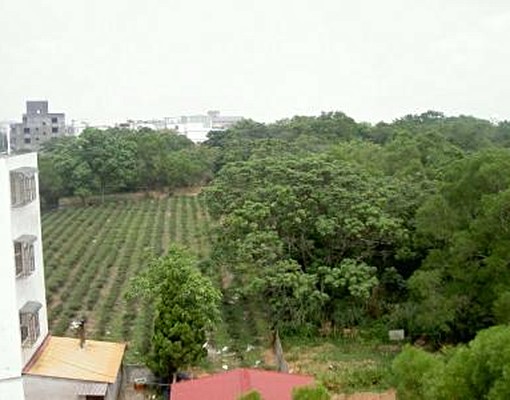 龍潭區中豐路高平段附近新生醫護專科學校旁 - Image 6