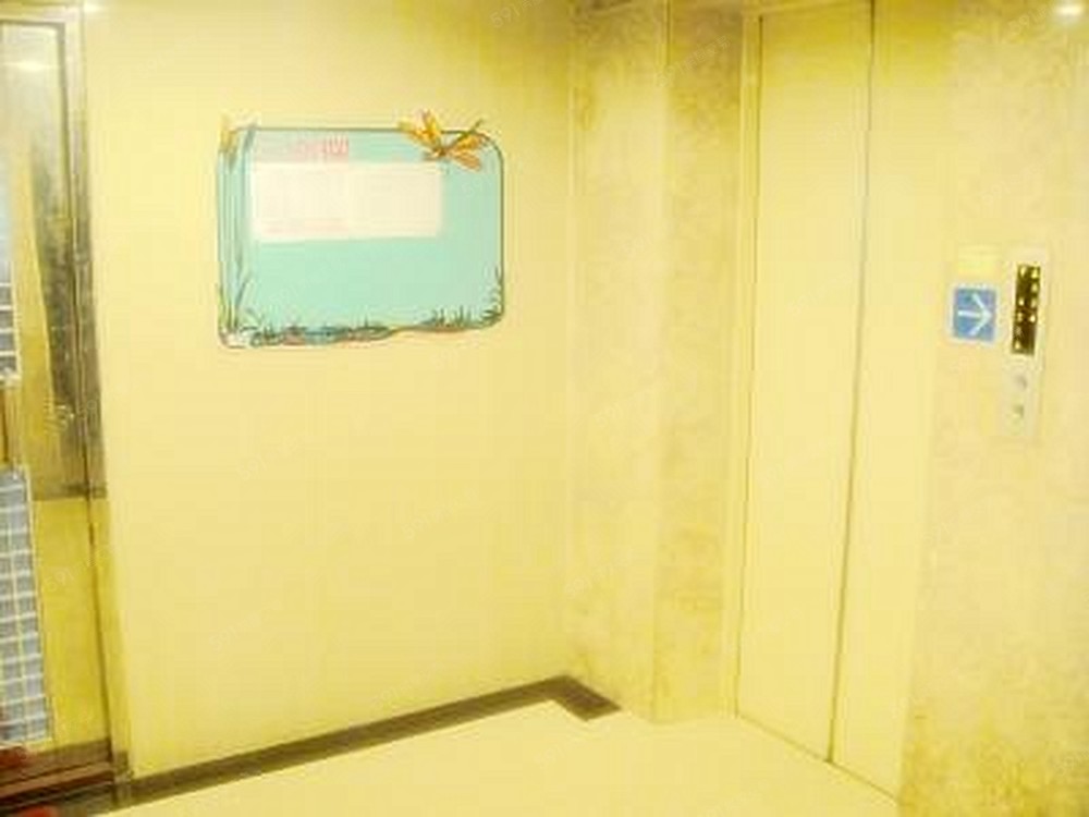 每月保養的電梯