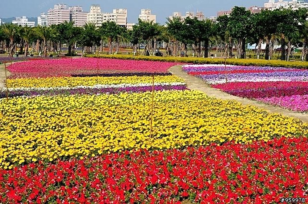 凹子底森林公園 步行 5分鐘內