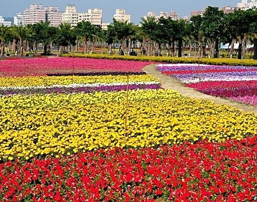 大樓管理,交通便利,舒適安全如家 - Image 2