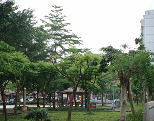 瑞光路套房(仁寶台達電Maserati) - Image 3
