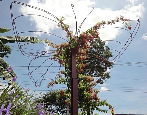 庭園套房出租(含小陽台) - Image 4