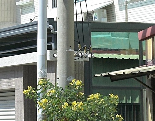 安靜又安全，木質地板,鹿基,彰濱工業區, - Image 11