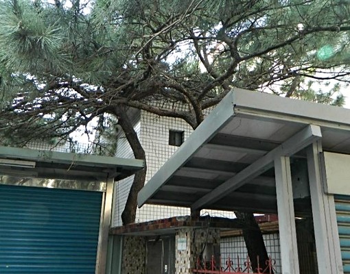 捷運唭哩岸站清雅套房.生活機能極佳 - Image 2