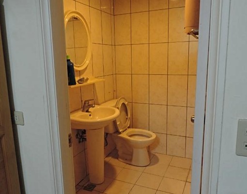 給你一個家的感覺(期待有緣人) - Image 3