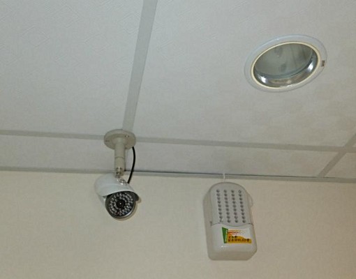 可租補+台電計價~42吋液晶及個人洗+晒衣區 - Image 8