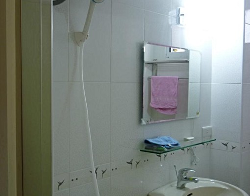 新堀江/美麗島捷運站套房..屋況全新 - Image 5