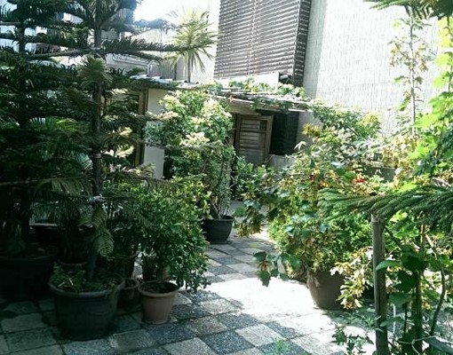 忠孝東路新生捷運站旁 - Image 7