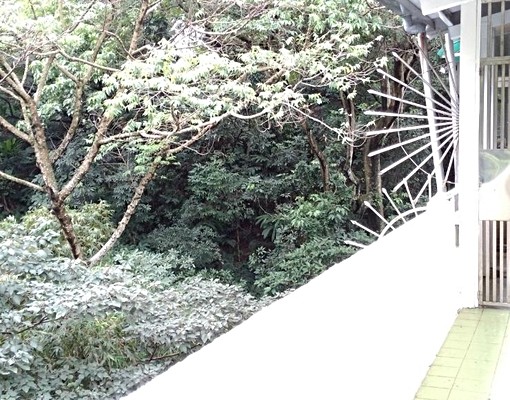 捷運新店區公所安靜綠景2房近中興路口 - Image 3