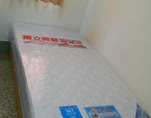 近嘉義大學、聖馬爾定 - Image 5