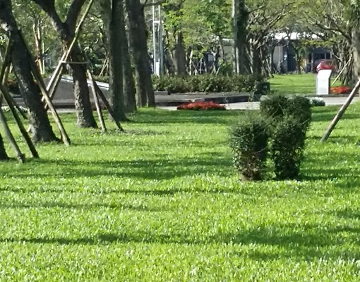 運動公園美景優質大套房(附觀景露台) - Image 5