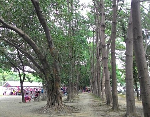 家樂福文教區面公園,含家具.網路.第四台 - Image 5