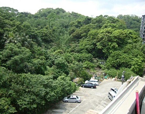 全新裝修,一層一戶,交通便利,生活機能強 - Image 1