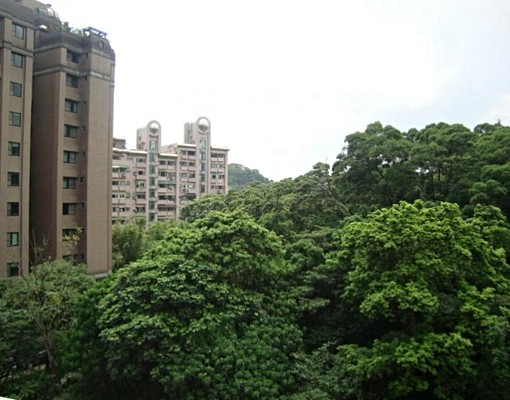 全新裝修,一層一戶,交通便利,生活機能強 - Image 2