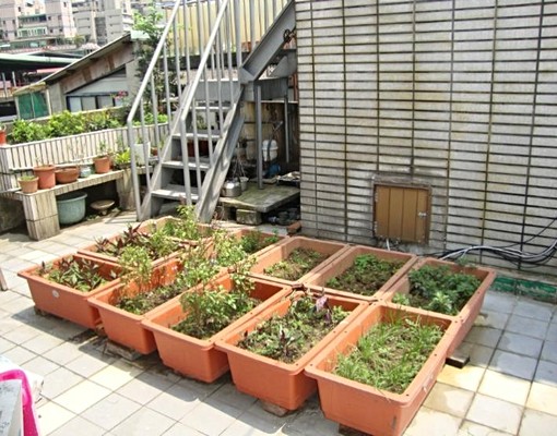 全新裝修,一層一戶,交通便利,生活機能強 - Image 3