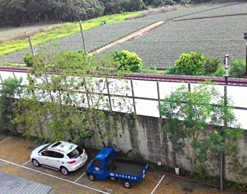 市區內陽光綠景度假套房 - Image 10