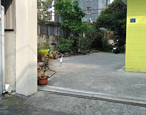 屏大歐風花園別墅 - Image 9