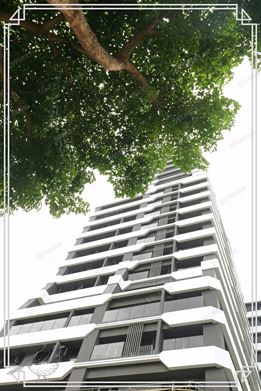 京都大觀宣傳圖