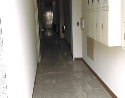 整層3房一廳四衛或單人套房近南開生活方便 - Image 12