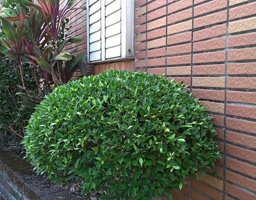 純,靜冷氣套房;近蘇澳海事,國中小 - 591租屋網 - Image 6