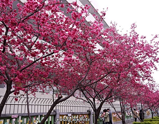 兒童公園、捷運G5、文昌國小、雙車位、有孝親房 - Image 10