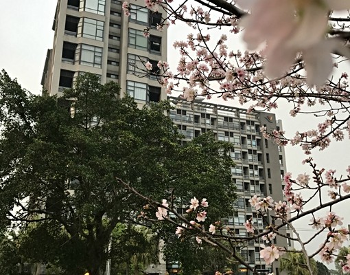 度假式飯店管理景觀樓中樓(面湖) - Image 1
