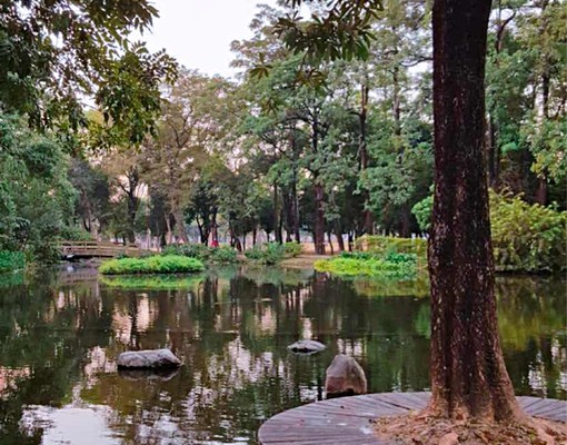 大東捷運站旁*精美套房*（可申請補助） - Image 8