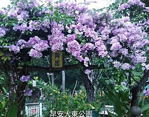 大東捷運站旁*精美套房*（可申請補助） - Image 9