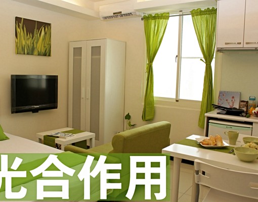 「光合作用」日光北歐宅，小廚房、捷運 - Image 12