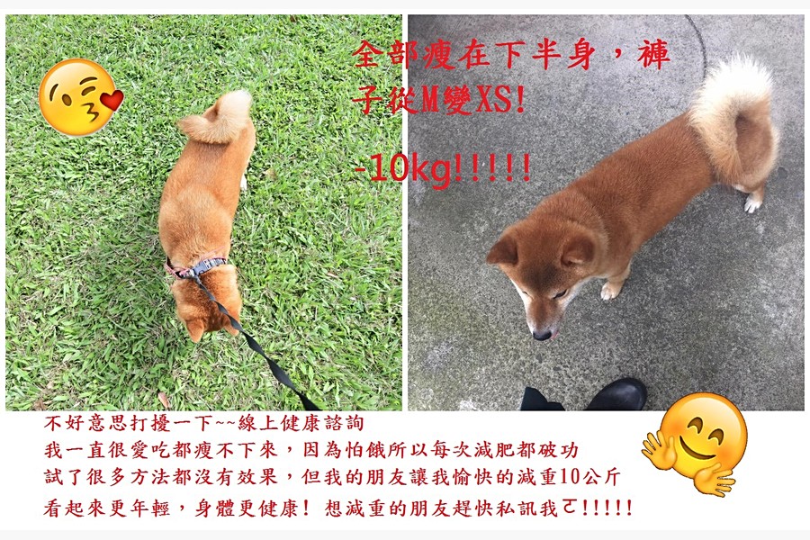 其實要從右邊往左看