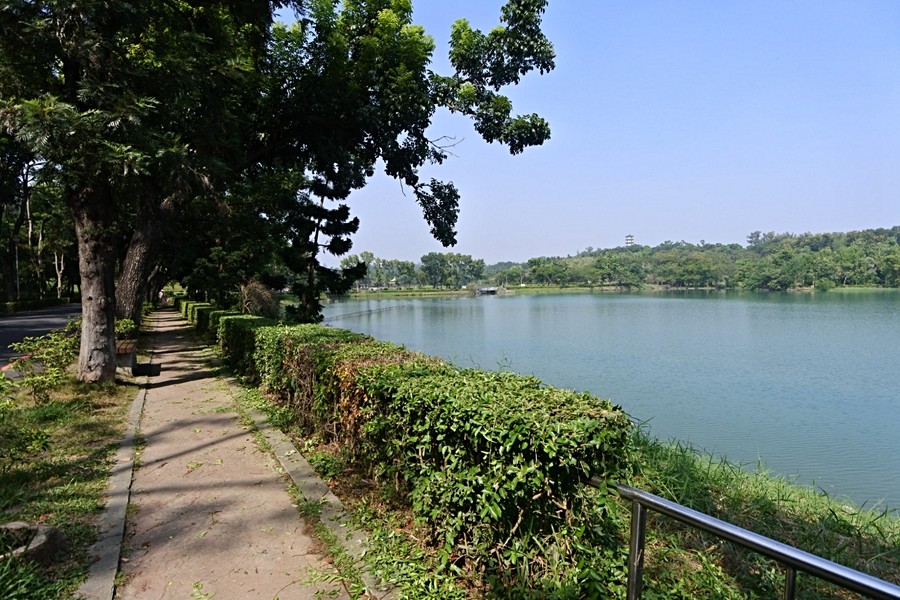 綠意盎然好風光~✿✿✿