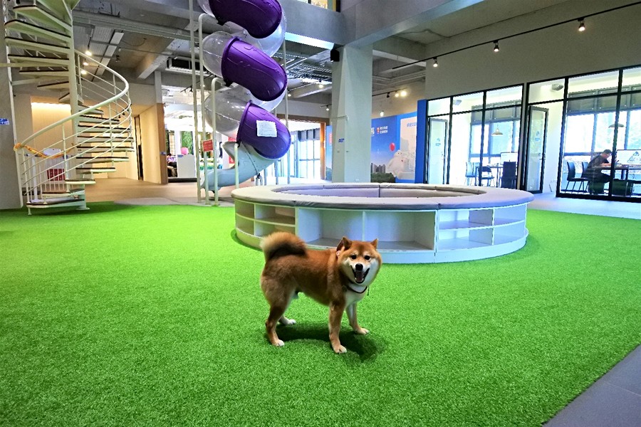 把接待中心當操場跑的嘟