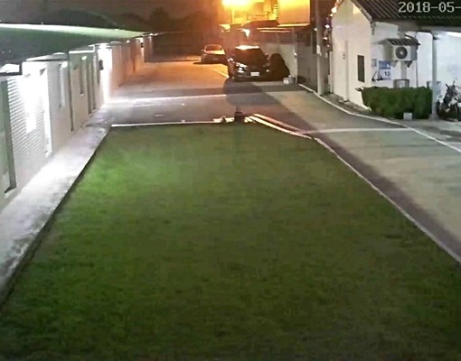 1鄰13-36號 - Image 19