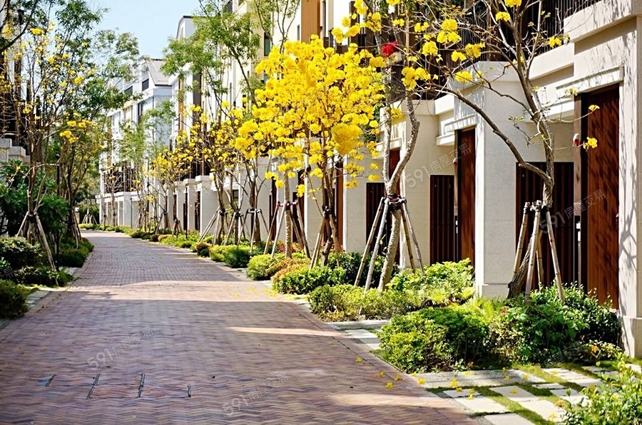 國揚翡翠森林實景圖