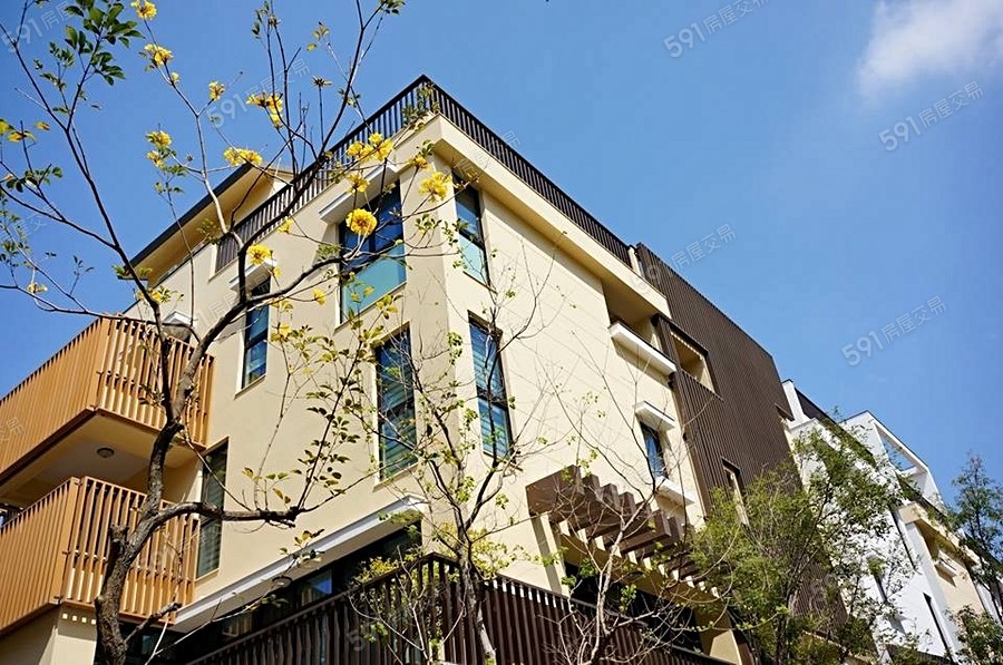 國揚翡翠森林實景圖