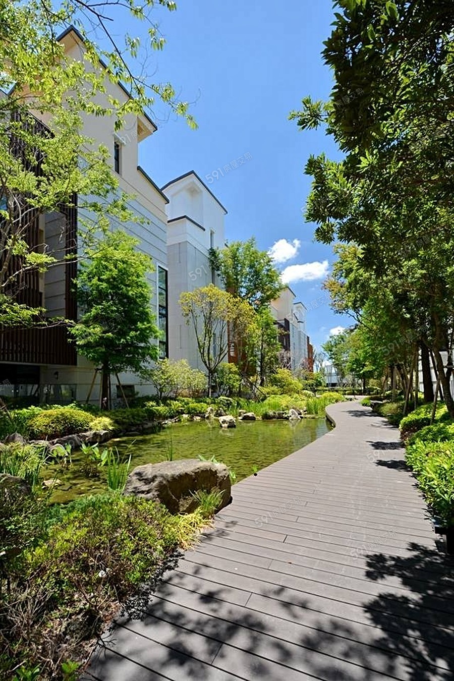 國揚翡翠森林實景圖