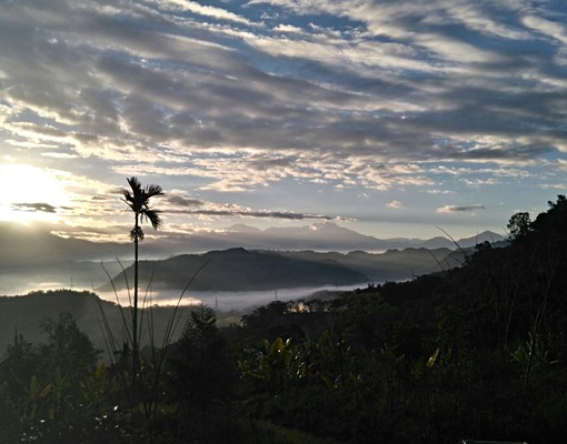 南投國姓鄉雲端上的農舍土地出租 - Image 2