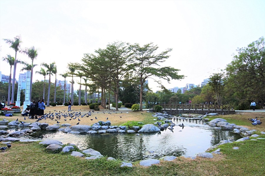中央公園