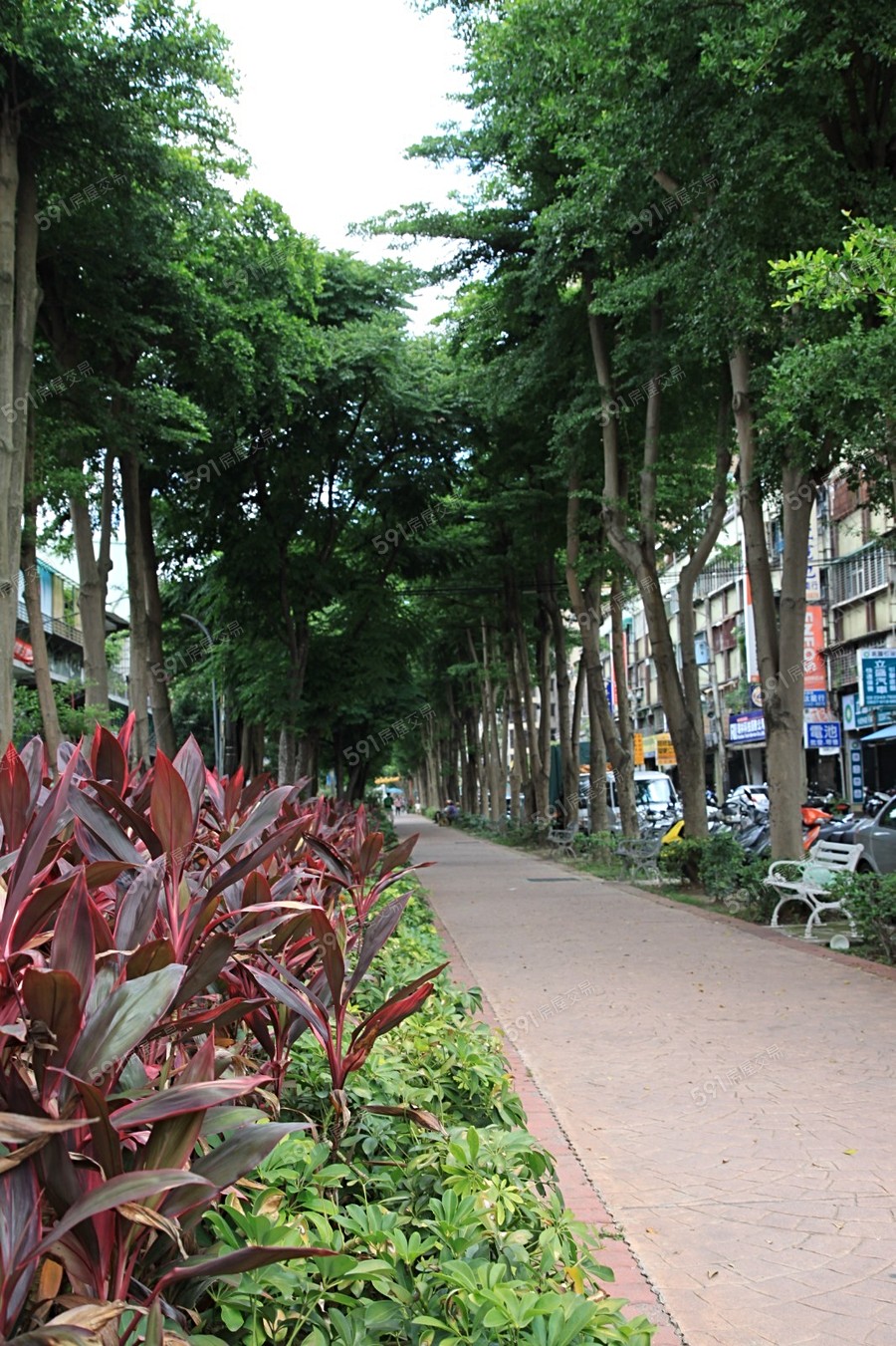 忻揚馥群環境圖