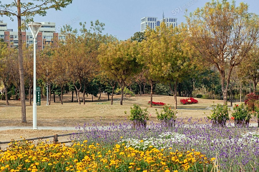 京城凱悅環境圖