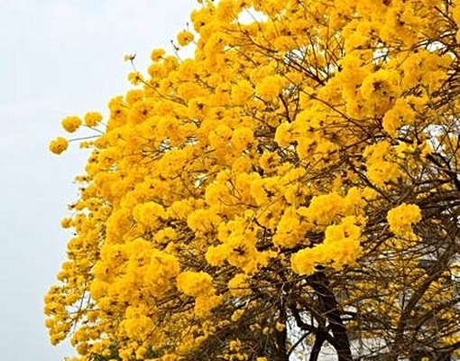 近輔仁中學-獨立套房-有陽台 - Image 4