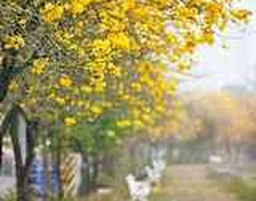 近輔仁中學-獨立套房-有陽台 - Image 5