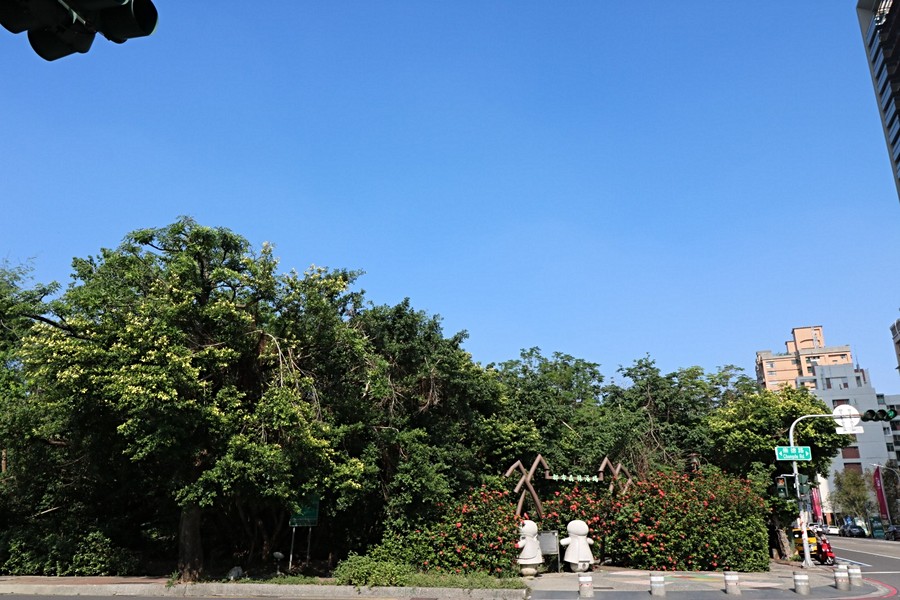 都市森林浴場