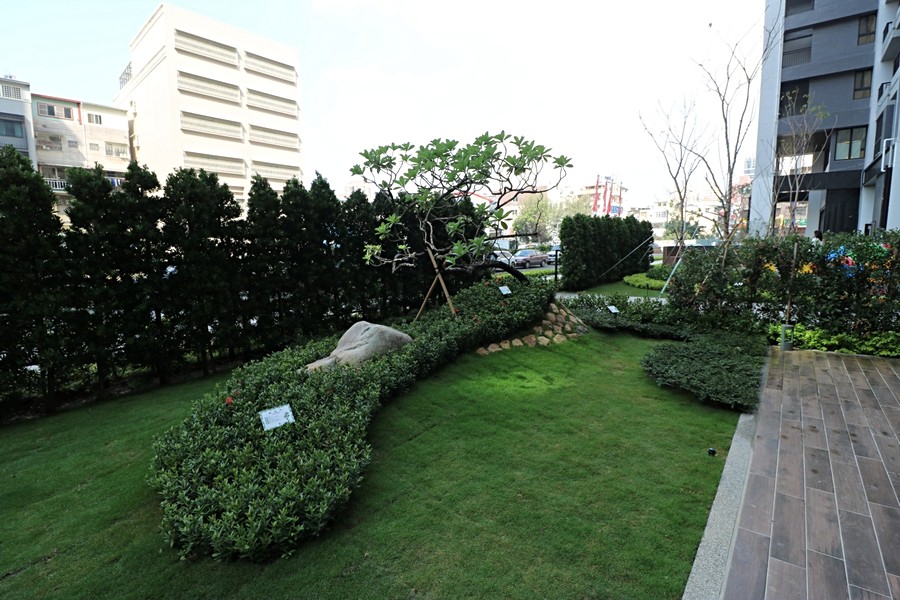 中庭花園