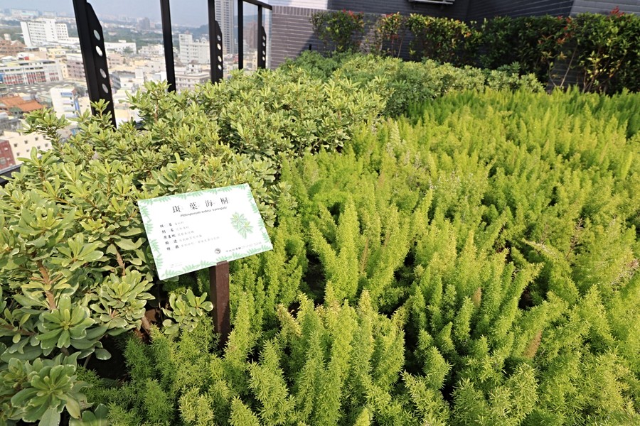 植物都有說明簡介