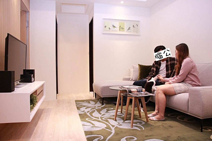 跟腦公在客廳逗仙喵