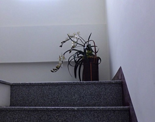 豪宅舒適陽台套房近成醫夢時代 - Image 6