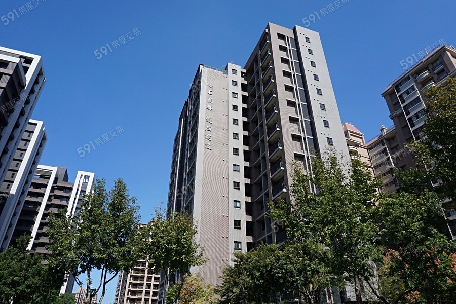 鑽石麗都實景圖