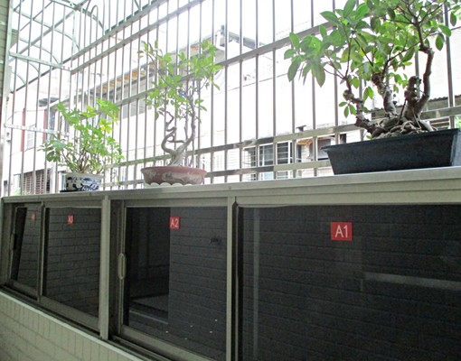 近永安捷運站,靜巷美寓(限女性/正職) - Image 2